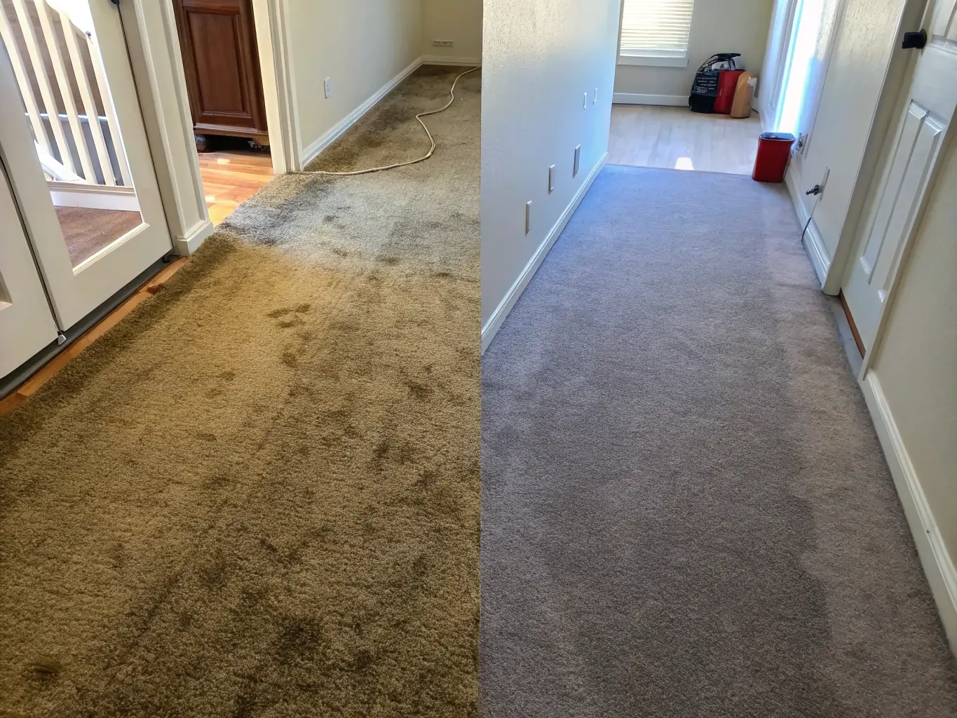 A photo of a clean, vibrant carpet after professional cleaning, showcasing the difference between before and after.